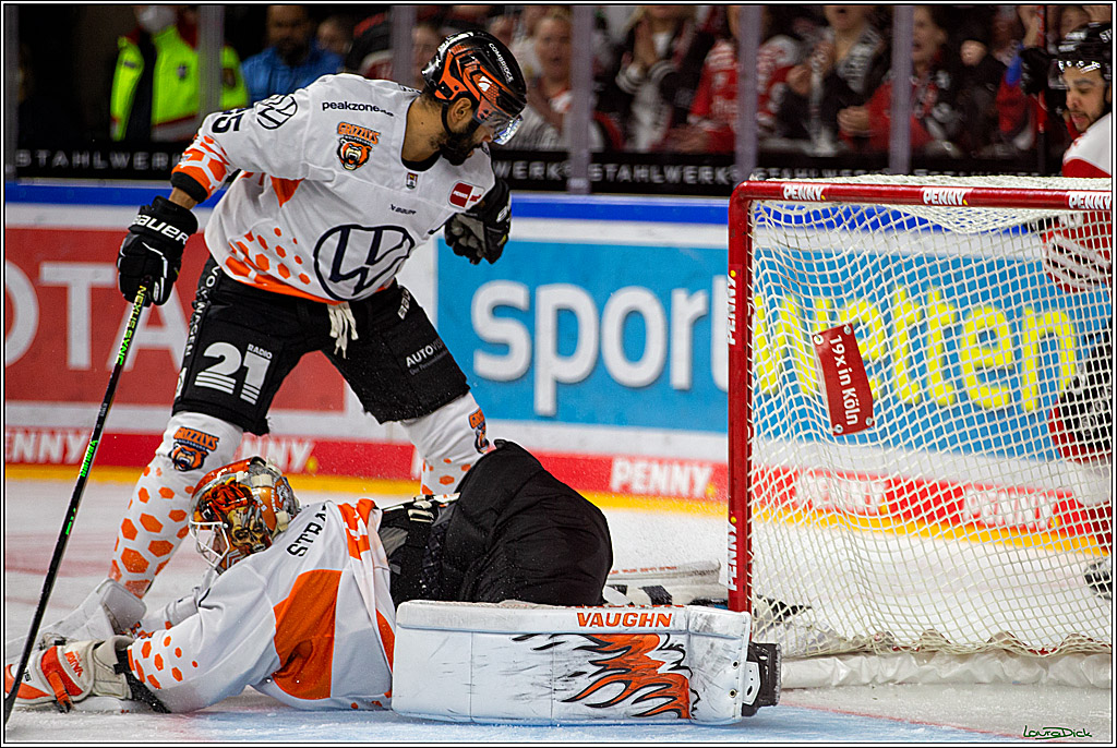 PENNY DEL; Koelner Haie- Grizzly Wolfsburg; Koeln, 26.10.2022